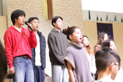 IMG_1135-Copy